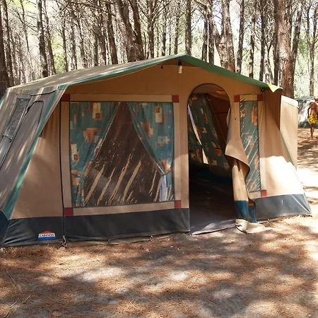 Amfibietreks سينيسكولا