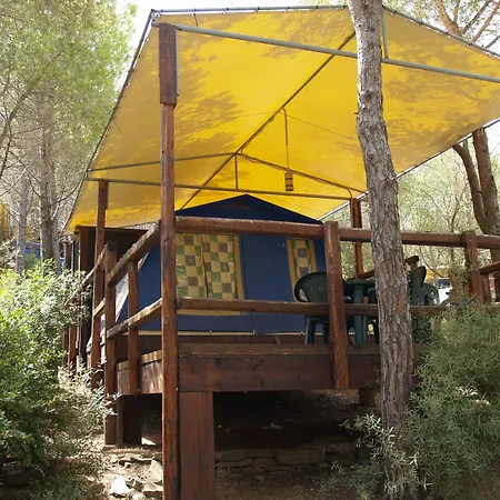 Amfibietreks キャンプ場 *