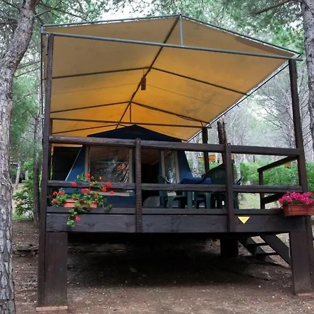 キャンプ場 Amfibietreks *