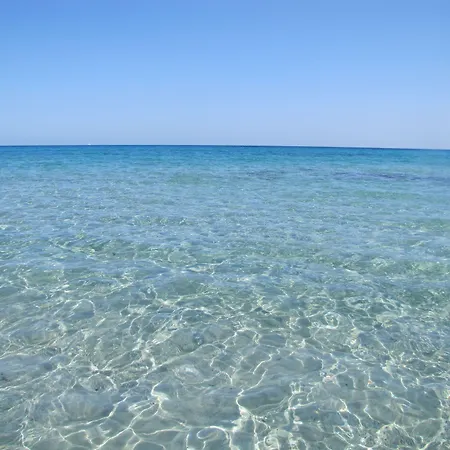 Amfibietreks * シニスコーラ