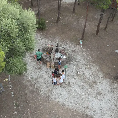 Amfibietreks * Siniscola