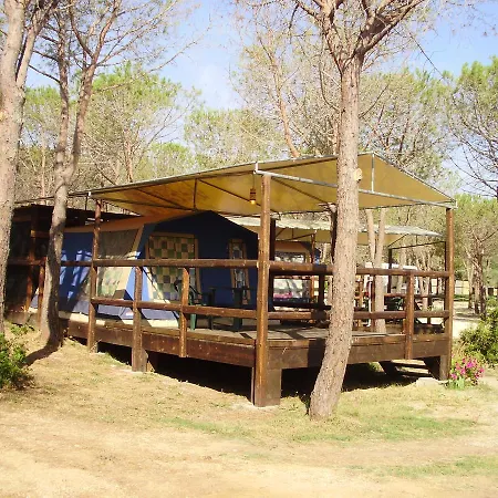 Amfibietreks سينيسكولا