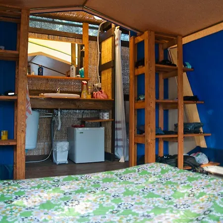 Amfibietreks سينيسكولا