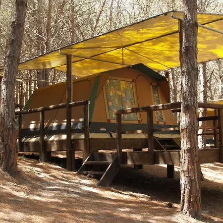 キャンプ場 Amfibietreks