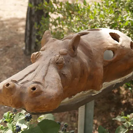 キャンプ場 Amfibietreks