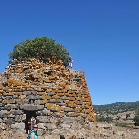 Amfibietreks