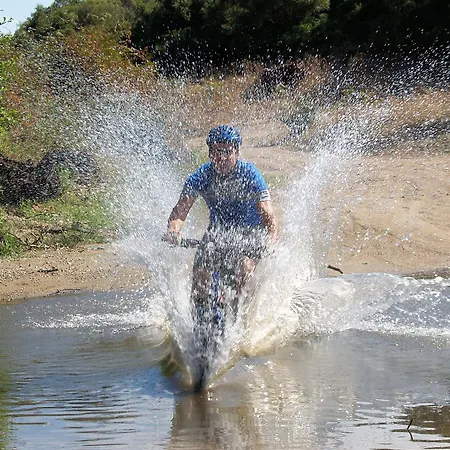 Amfibietreks * シニスコーラ